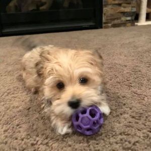 Meet your Posher, Becky